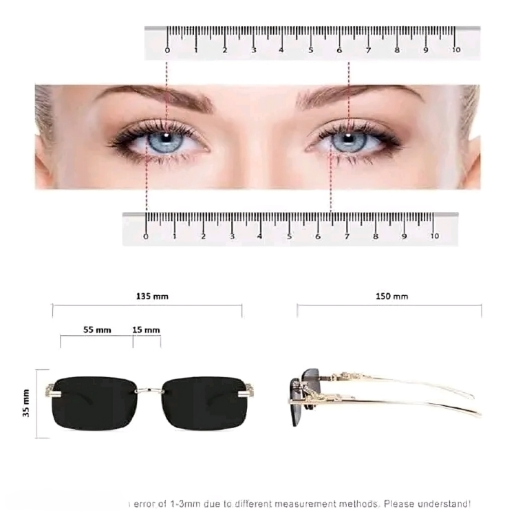 Mursolyn Elite Gold Rimless Sunglasses – Sleek Luxury with Panther Detailing